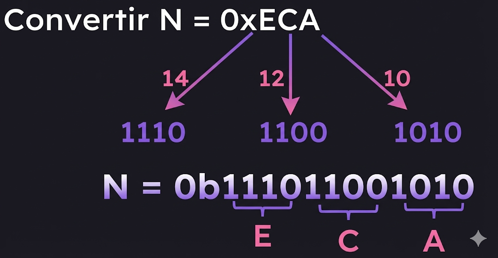Conversion hexadécimal vers binaire